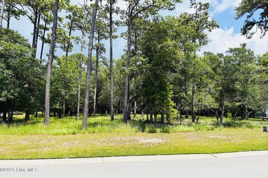 Beach Lot For Sale in Southport, North Carolina