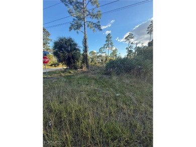Beach Lot For Sale in Lehigh Acres, Florida