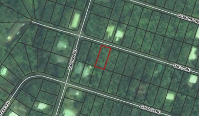 Beach Lot For Sale in Pahoa, Hawaii