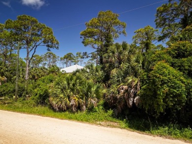Beach Lot For Sale in St. George Island, Florida