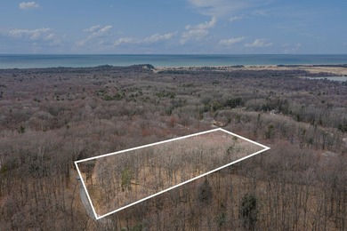 Acreage For Sale in Mears image photo picture