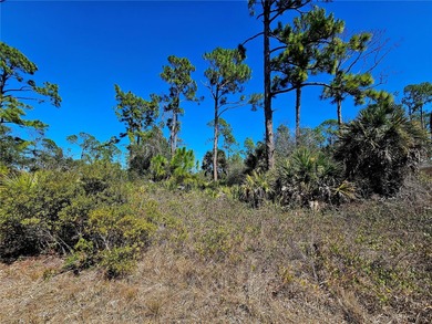Beach Lot For Sale in Port Charlotte, Florida