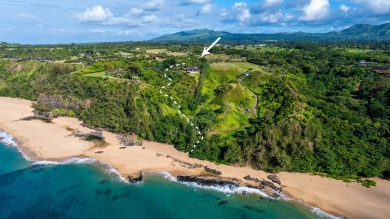 Beach Home For Sale in Kilauea, Hawaii