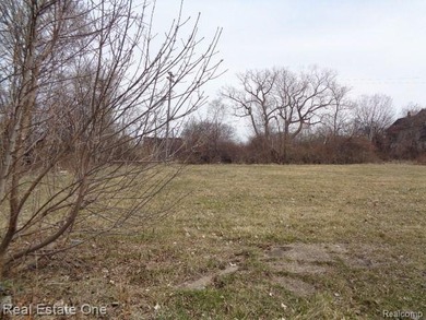 Beach Lot For Sale in Detroit, Michigan