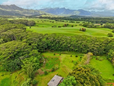 Beach Home Active Under Contract in Kilauea, Hawaii