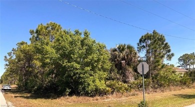 Beach Lot For Sale in Lehigh Acres, Florida