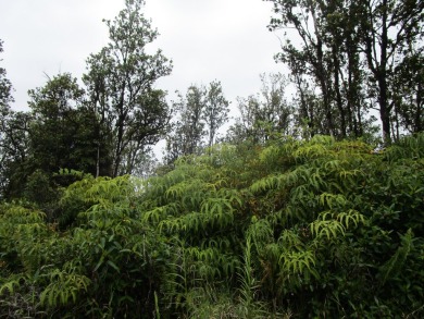 Beach Acreage Active Under Contract in Volcano, Hawaii