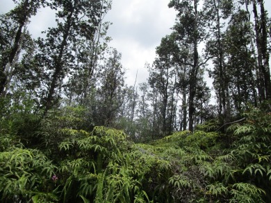 Beach Acreage Active Under Contract in Mountain View, Hawaii