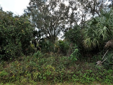 Beach Lot For Sale in North Port, Florida