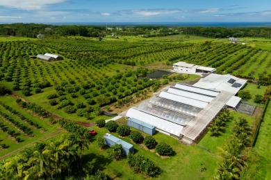 Beach Acreage For Sale in Kurtistown, Hawaii