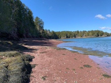 Beach Acreage Off Market in Pembroke, Maine