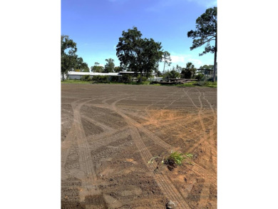 Beach Lot For Sale in Port St Joe, Florida