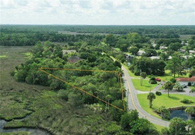 Beach Lot For Sale in Crystal River, Florida