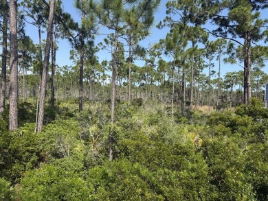 Beach Lot For Sale in Cape San Blas, Florida