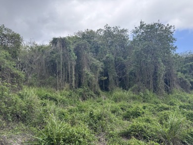 Beach Lot Active Under Contract in Ocean View, Hawaii