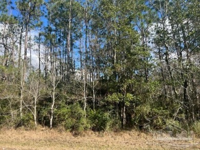 Beach Lot For Sale in Milton, Florida