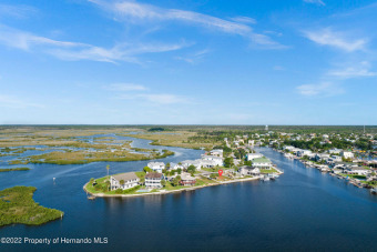 Beach Lot Off Market in Hernando Beach, Florida