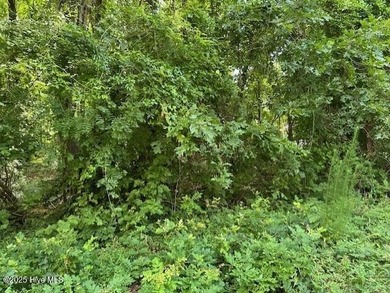 Beach Lot For Sale in Hertford, North Carolina