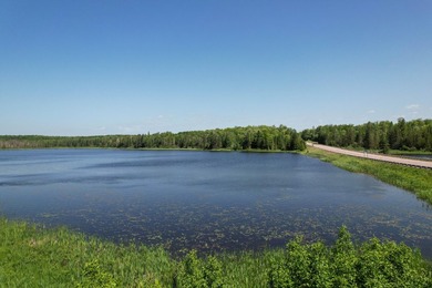 Beach Acreage For Sale in Gulliver, Michigan