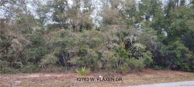 Beach Lot Sale Pending in Crystal River, Florida