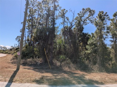Beach Lot For Sale in North Port, Florida