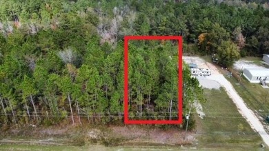 Beach Lot For Sale in Wewahitchka, Florida