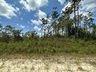 Beach Lot For Sale in Wewahitchka, Florida