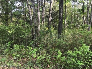 Beach Acreage Off Market in Shallotte, North Carolina