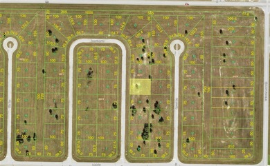 Beach Lot For Sale in Placida, Florida