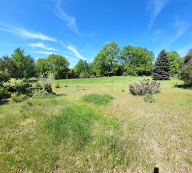 Beach Lot For Sale in Onekama, Michigan