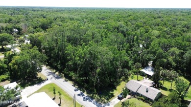 Beach Lot For Sale in New Smyrna Beach, Florida