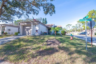 Beach Home For Sale in Tarpon Springs, Florida