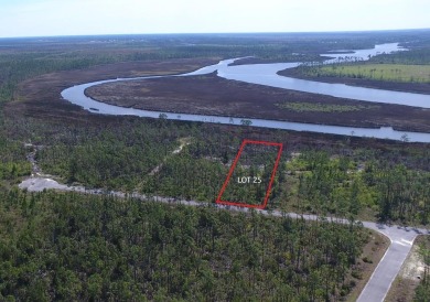 Beach Lot For Sale in Wewahitchka, Florida