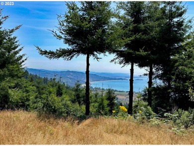 Beach Acreage Off Market in Brookings, Oregon