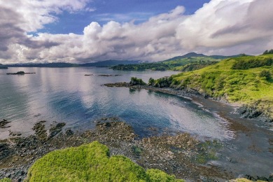 Beach Home For Sale in Kodiak, Alaska