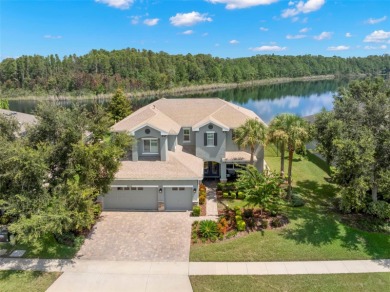 Beach Home For Sale in Land O Lakes, Florida