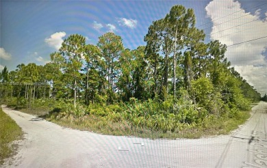 Beach Lot For Sale in Fort Pierce, Florida