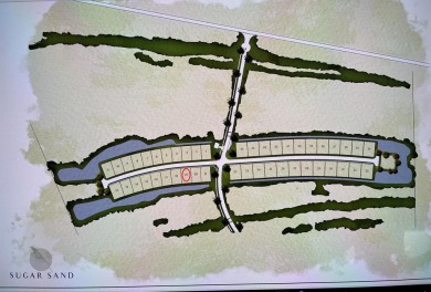 Beach Lot For Sale in Mexico Beach, Florida