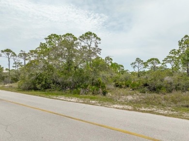 Beach Lot For Sale in St. George Island, Florida