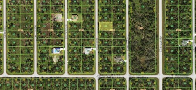 Beach Lot For Sale in Port Charlotte, Florida