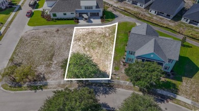 Beach Lot For Sale in North Myrtle Beach, South Carolina