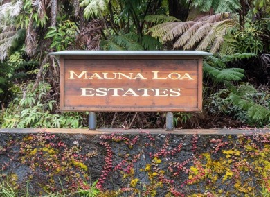 Beach Lot For Sale in Volcano, Hawaii