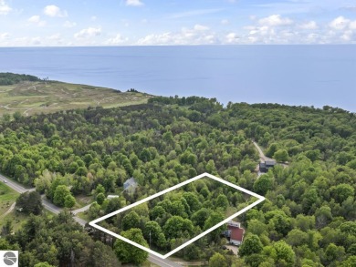 Beach Lot For Sale in Arcadia, Michigan