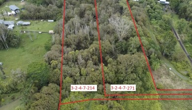 Beach Acreage For Sale in Hilo, Hawaii