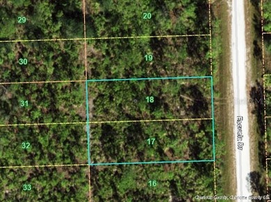 Beach Lot For Sale in Punta Gorda, Florida