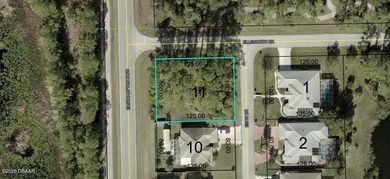 Beach Lot For Sale in Palm Coast, Florida