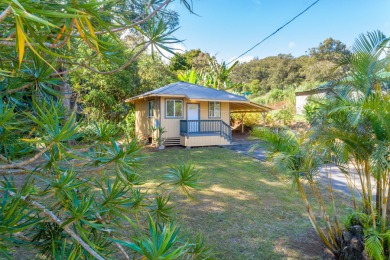 Beach Home Active Under Contract in Honokaa, Hawaii