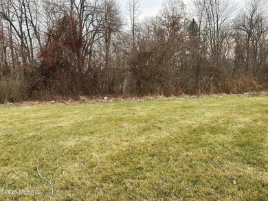 Beach Lot For Sale in New Buffalo, Michigan