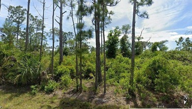 Beach Lot For Sale in Port Charlotte, Florida
