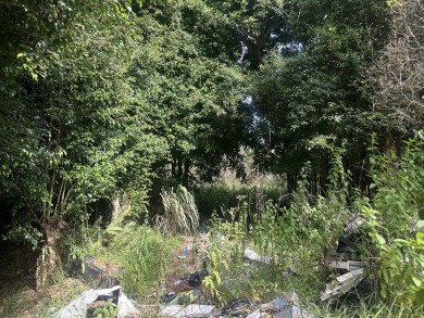 Beach Lot For Sale in Mountain View, Hawaii